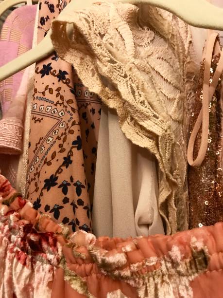 istock Fashionista Closet 1077918452