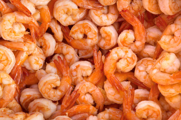 Boiled shrimps, peeled for cooking stock photo