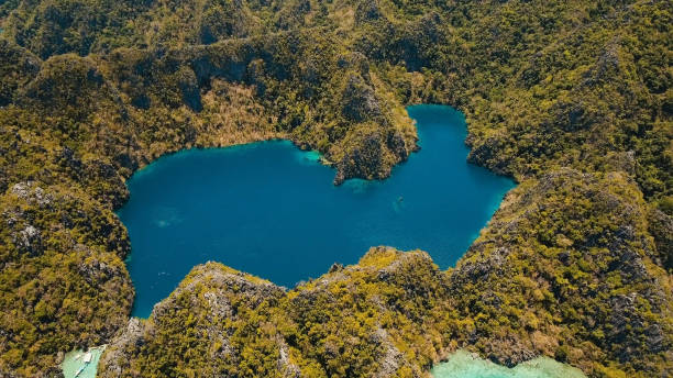 istock Mountain lake Barracuda on a tropical island, Philippines, Coron, Palawan 1077940816
