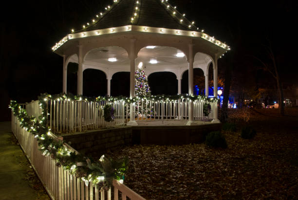 istock Christmas Tree Lit Up in a Gazebo 1077943518