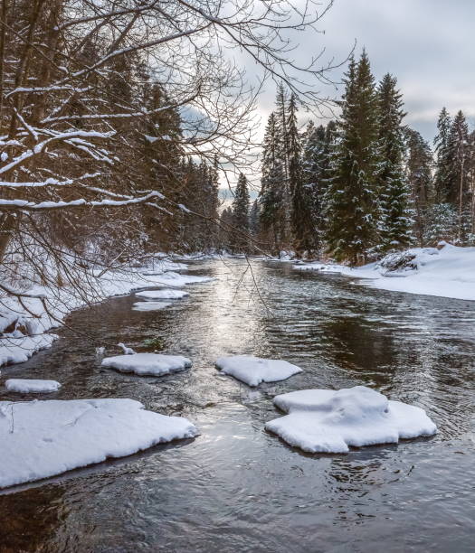 istock Winter river on a sunny, clear day. 1077956500