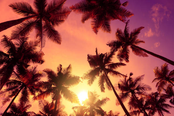 istock Vivid tropical beach sunset with big warm shining sun 1077962674