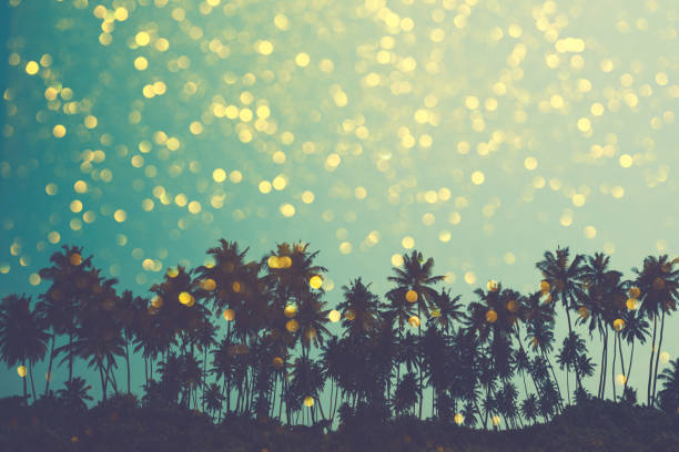 Palm trees on tropical beach, retro stylized Palm trees on tropical beach, vintage toned and retro color stylized with shiny golden party bokeh background beach goa party stock pictures, royalty-free photos & images