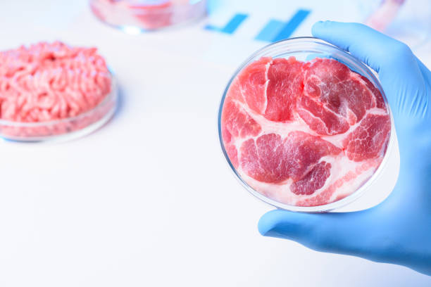 istock Meat in lab Petri dish 1077963318