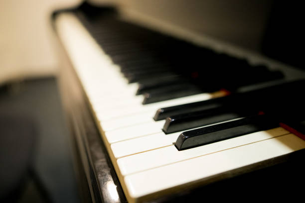 istock Piano keys ,side view of instrument musical tool. 1077965852