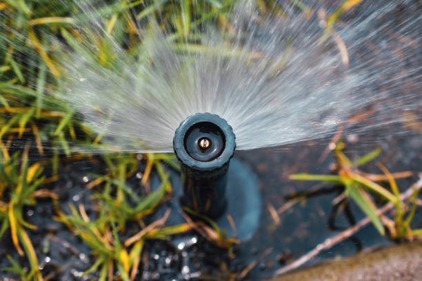 Lawn Sprinkler Watering Backyard Grass In Summer stock photo