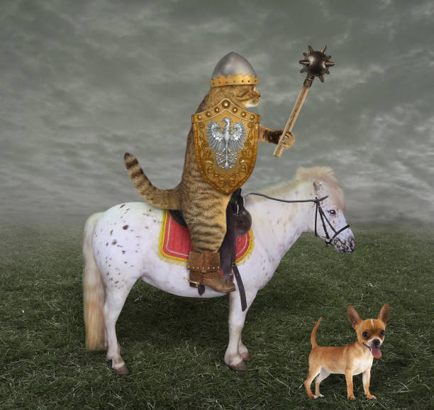 istock Cat knight on a horse with a mace 1077973460