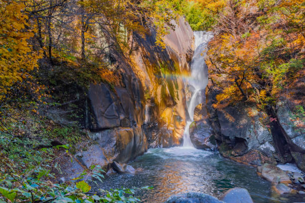 istock Beautiful waterfall in autumn in national park 1077975156