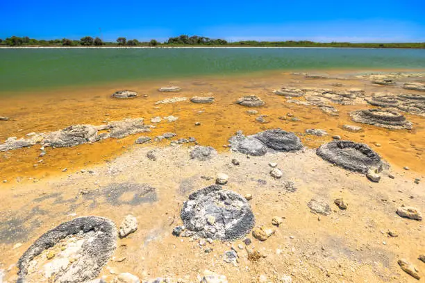 Photo of Stromatolites Lake Thetis