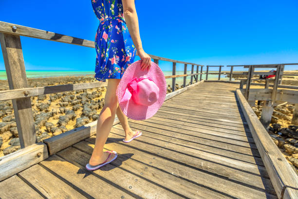 Woman in hat walking on wooden path at Stromatolites Hamelin Pool. Marine Reserve, Shark Bay, Western Australia. following low angle legs in Australian travel destination.
