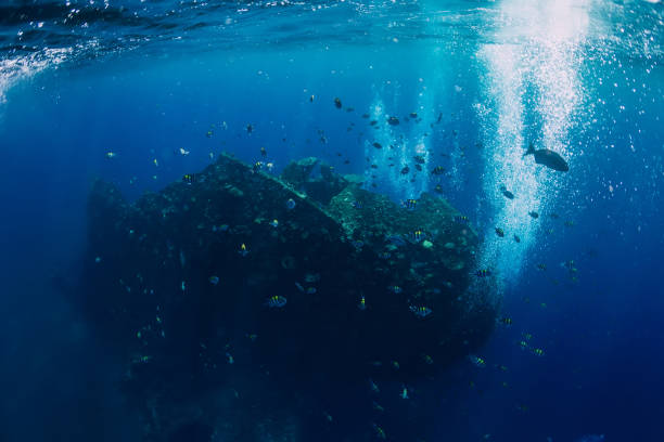 istock Underwater view in tropical ocean with fish at shipwreck 1077999802