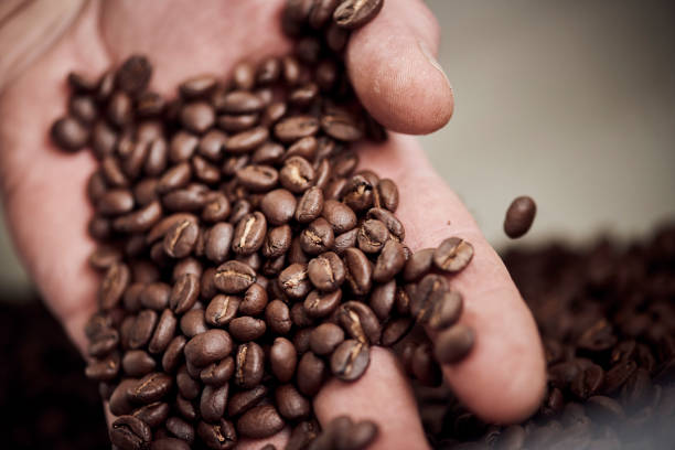 istock Barista roasting coffee beans 1078014020