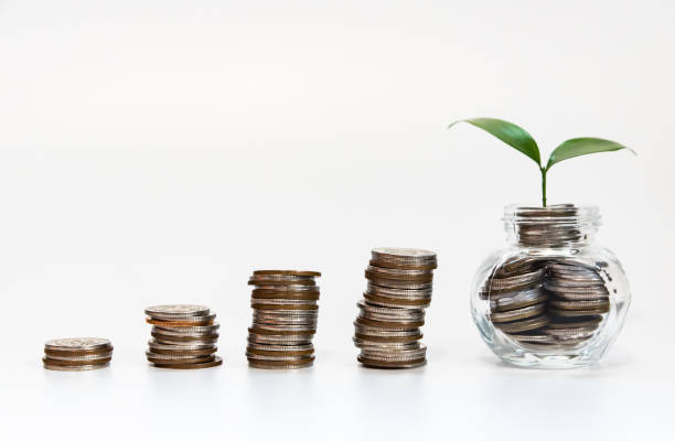 istock Green Plant Growing In Coins 1078014258
