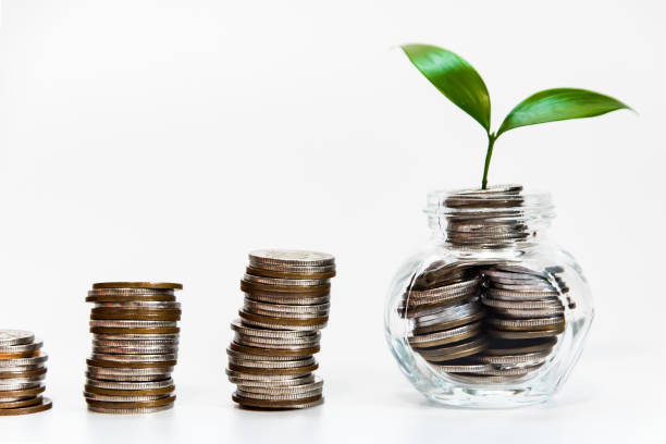 istock Green Plant Growing In Coins 1078014334