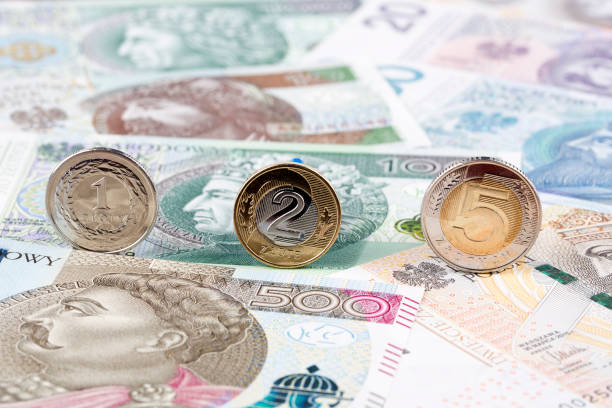 istock Polish Zloty coins 1078014776