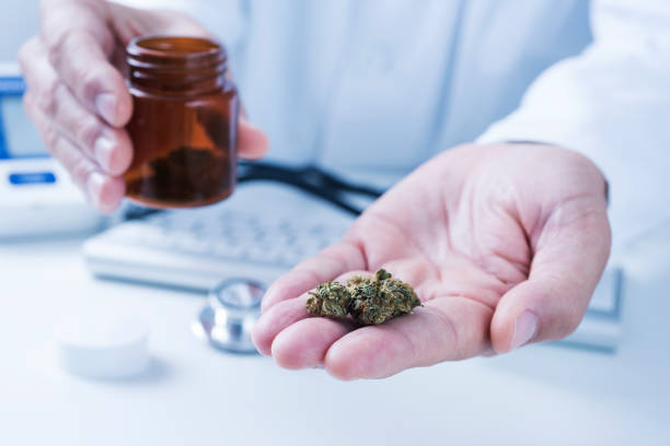 istock doctor man with some marijuana buds in his hand 1078015764