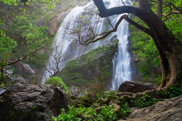 istock Klong Lan Waterfall National Park in Thailand 1078024270