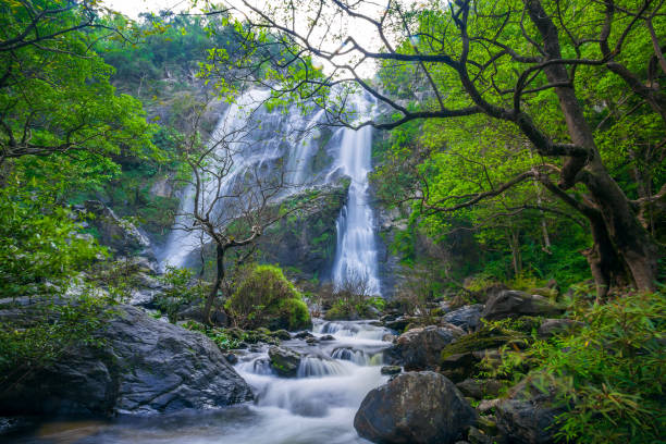 istock Klong Lan Waterfall National Park in Thailand 1078024446