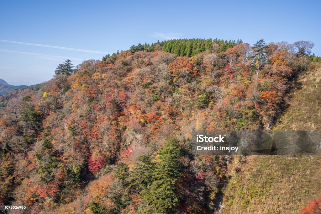 구주 산 일본에 보도 대 한 가장 높은 현수교 9에 대한 스톡 사진 및 기타 이미지 - iStock