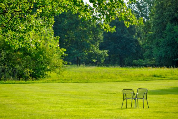 istock morning in the park 1078027088