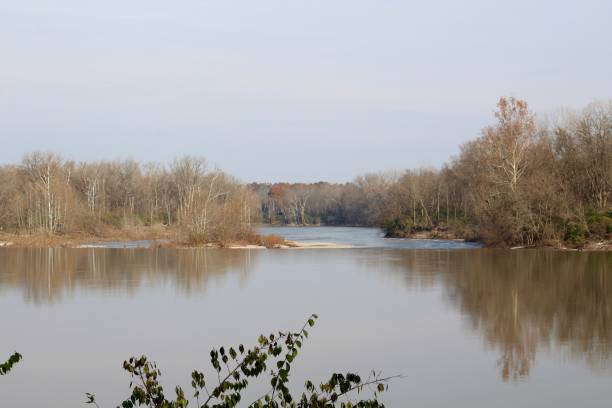 istock Flowing Water of River 1078031368