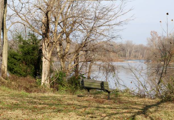 istock Bench with a View of River 1078032612