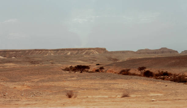 istock An Egyptian Desert And Mysty Sky in the daylight 1078039244