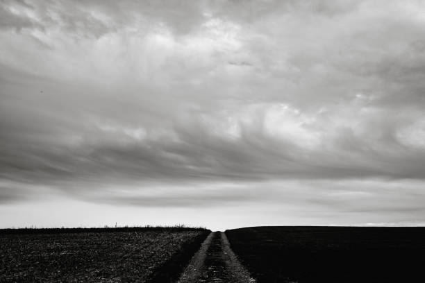 istock Road Amidst Field Against Sky 1078043946