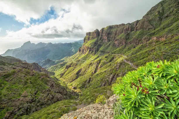 Natural mountain scenery on the way to Masca, Tenerife