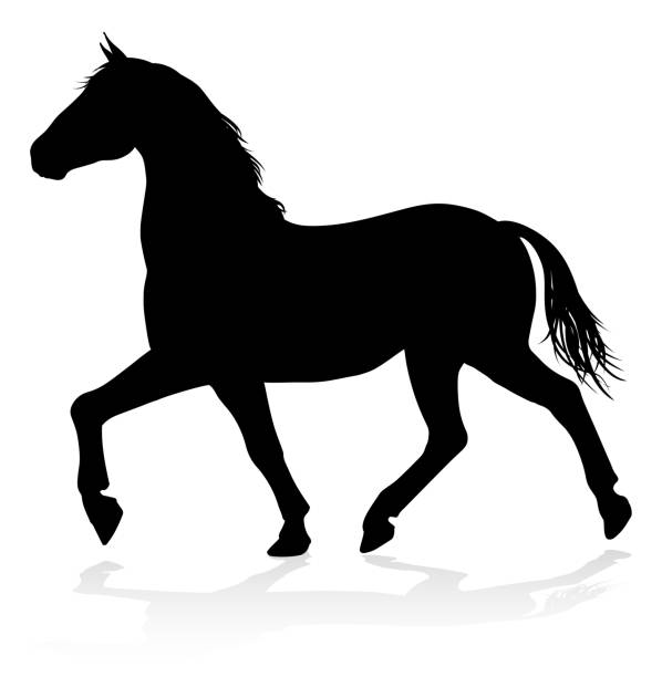 illustrations, cliparts, dessins animés et icônes de cheval animaux silhouette - cheval