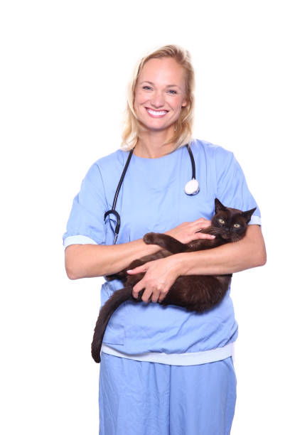 istock Female veterinarian 1078048790