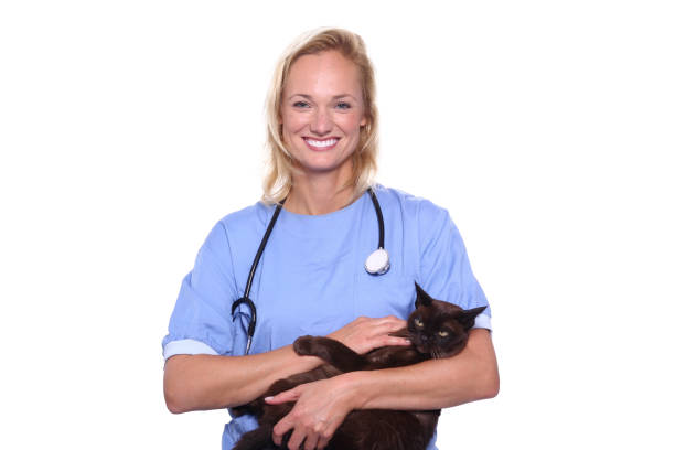 istock Female veterinarian 1078048832