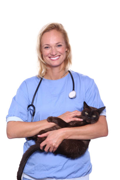 istock Female veterinarian 1078048840