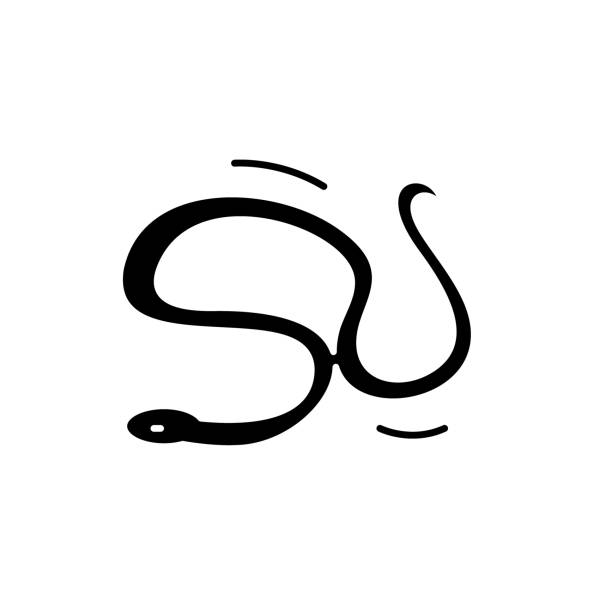 istock Snake black icon, vector sign on isolated background. Snake concept symbol, illustration 1078062394