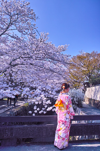 Kyoto, Japan-March 28, 2018: Kyoto in spring, cherry blossoms in full bloom,women in a yukata-style seen from the way of philosophy .