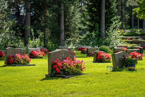 Rows of grave stones with bright red and pink flowers