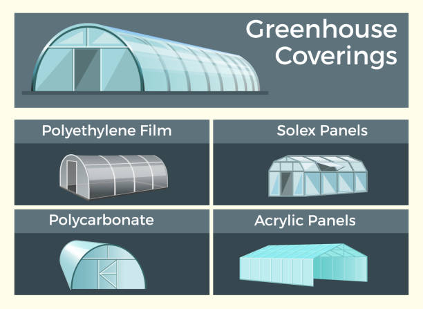 ilustrações de stock, clip art, desenhos animados e ícones de greenhouses coverings set - greenhouse industry tomato agriculture