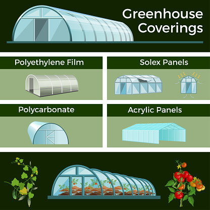 Set of vector greenhouses and high tunnels. Different types of structures and coatings