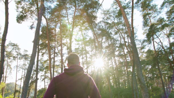 istock Young Man Running in the Forest 1078079652