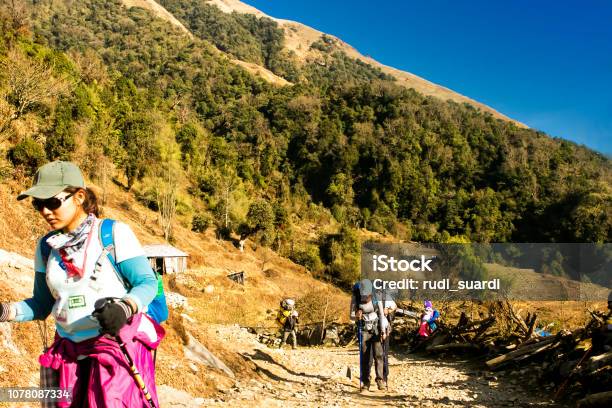 Tourist Walking In Annapurna Nepal Stock Photo - Download Image Now - Himalayas, Nepal, Pokhara