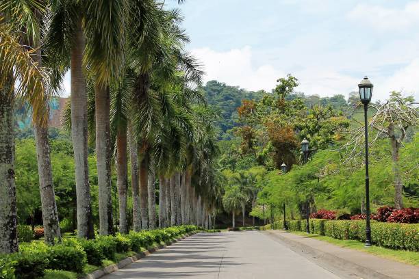 istock Costa Rica Flora and Fauna 1078088158