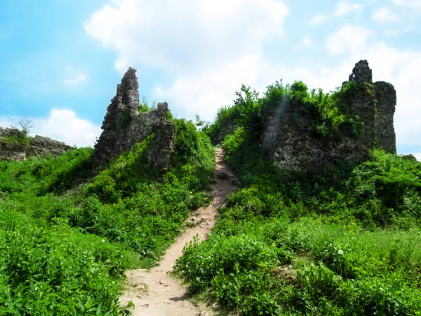 istock Ruins of the Upper Castle in Khust (Transcarpathia, Ukraine) 1078093684