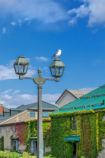 Otaru,Hokkaido,Japan