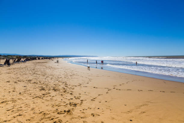 istock Sandy beach on the coast near Essaouira 1078096006