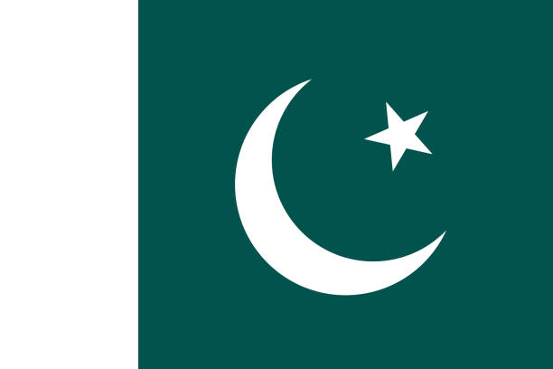 Vector Image of Pakistan Flag Vector Image of Pakistan Flag. Based on the official and exact Pakistan flag dimensions (3:2) & colors (330C and White) islam moon stock illustrations