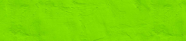 istock panorama pale green concrete wall  texture with plaster 1078099644