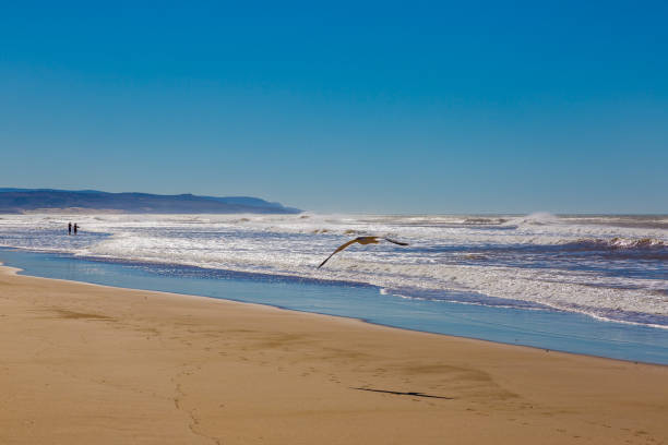 istock Sandy beach on the coast near Essaouira 1078101852