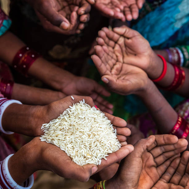 istock Hunger in Africa - hands asking for food 1078102714