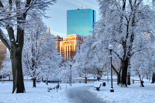 istock Winter in the Boston Public Garden 1078103346