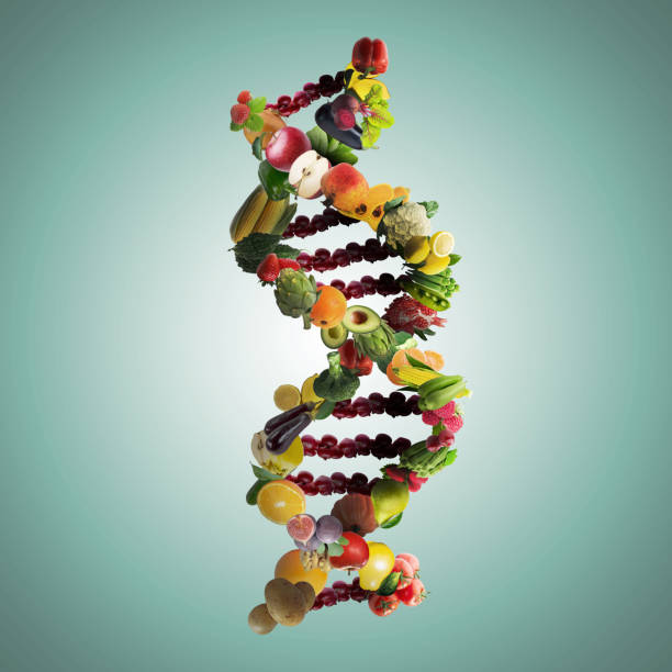 nutrigenetics konceptet dna-strängen med friska färska grönsaker och frukter - flower dna bildbanksfoton och bilder